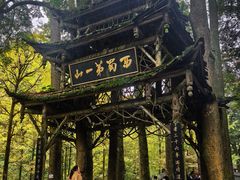 -青城甲(青城山店)