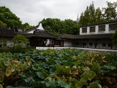 -上海醉白池公园