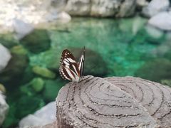 -石台牯牛降景区