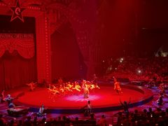 -珠海横琴长隆《卡卡虎奇遇记》