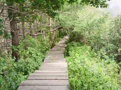 -白草畔自然风景区