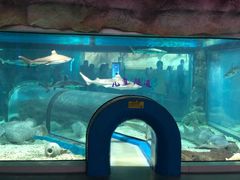 -福州罗源湾海洋世界旅游区