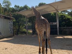 -泉州海丝野生动物世界