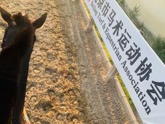 -北京群众马术培训基地
