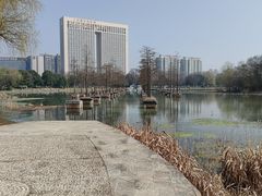 -合肥生态公园