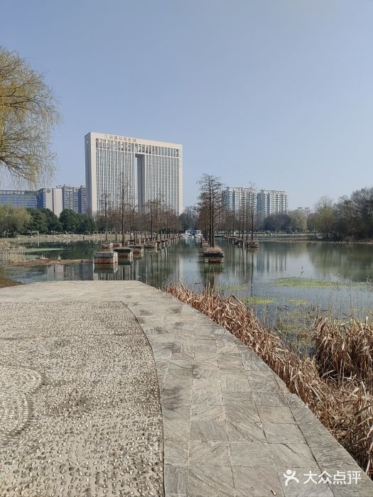 合肥生态公园图片