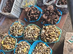 -南坛综合农贸市场