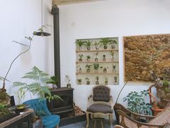 -植觉