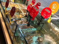 -日进一片海.生腌海鲜火锅.宵夜烧烤(三里屯总店)