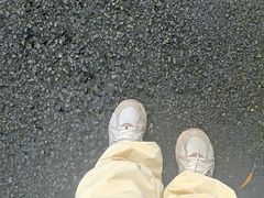 -神光山国家森林公园