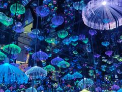 -梵高星空艺术馆(北京旗舰店)