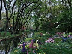 -上海共青森林公园