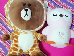 -PAWTOY爪e玩偶店(天兴罗斯福店)