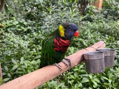 -南宫五洲植物乐园