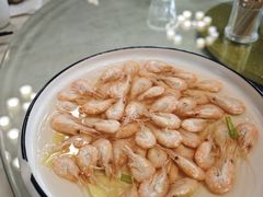 盐水白虾-二泉园老菜馆·百年无锡菜