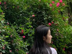 -东湖落雁景区