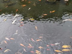 -清漾毛氏文化村