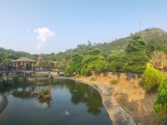 -泉州海丝野生动物世界