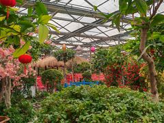 -南宫五洲植物乐园