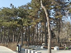 -长春市南湖公园