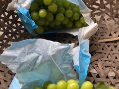 -马陆小张葡萄园农家乐