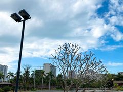 -金鸡岭桥头公园