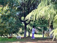 -太湖湖滨国家湿地公园-停车场