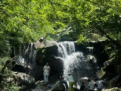 -四明山国家森林公园