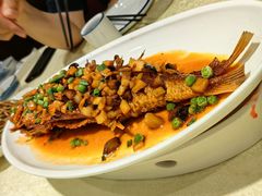 -新侨小馆(东直门北小街店)