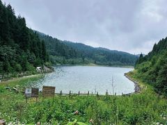 -武陵山森林公园