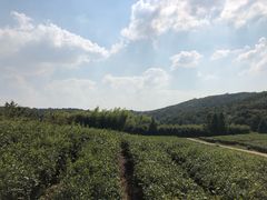 -龙寺生态园