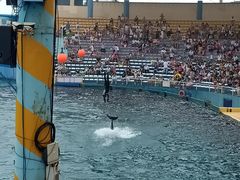 -秦皇岛乐岛海洋王国