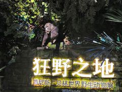 -浙江自然博物院(杭州馆)