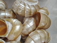 -万达广场(武汉菱角湖店)