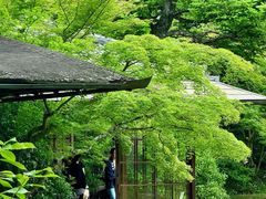 -三千院