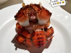 -五月罗马海鲜自助餐厅(陆家嘴店)
