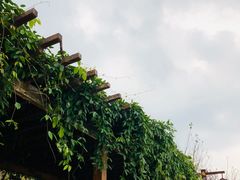 -屈原故里文化旅游区