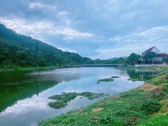 -兴隆隆苑咖啡庄园