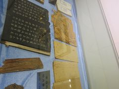 IMG_2887-上海昆虫博物馆