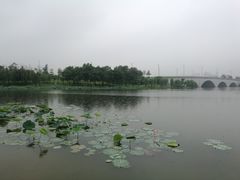 -飞来湖湿地公园