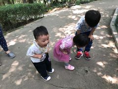 -广东茂名森林公园