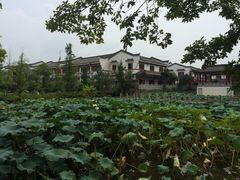 -杏花村文化旅游区