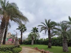-南昌玛雅海滩水公园