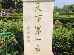 -曹州牡丹园