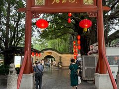 -侨美·唐荔园·40年地道粤菜