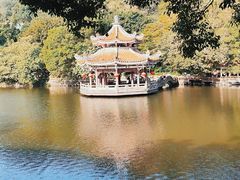 -潮镇老尾牛杂(环城西路店)