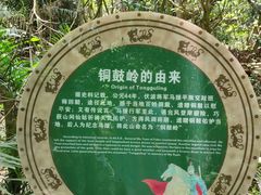 -海南铜鼓岭景区