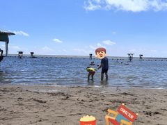 -碧海金沙