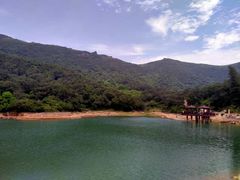 -大姆山草场