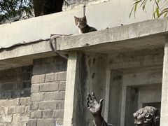 -平安桥天主教堂